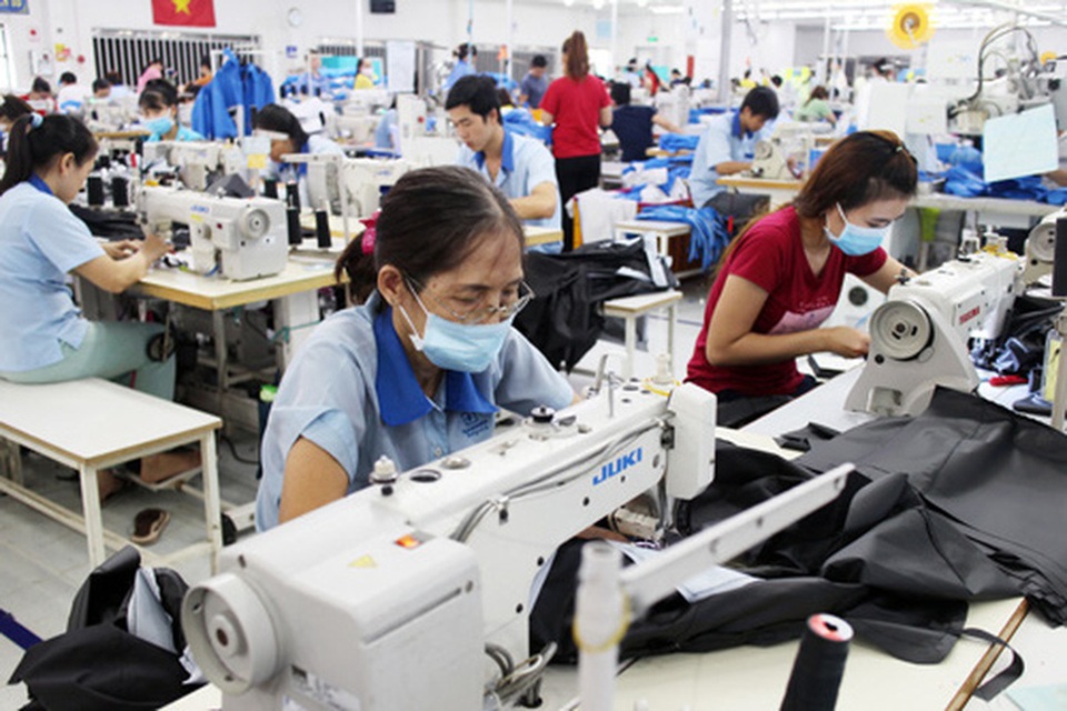 Lúng túng với lao động cao tuổi - 1 Lúng túng với lao động cao tuổi - 1