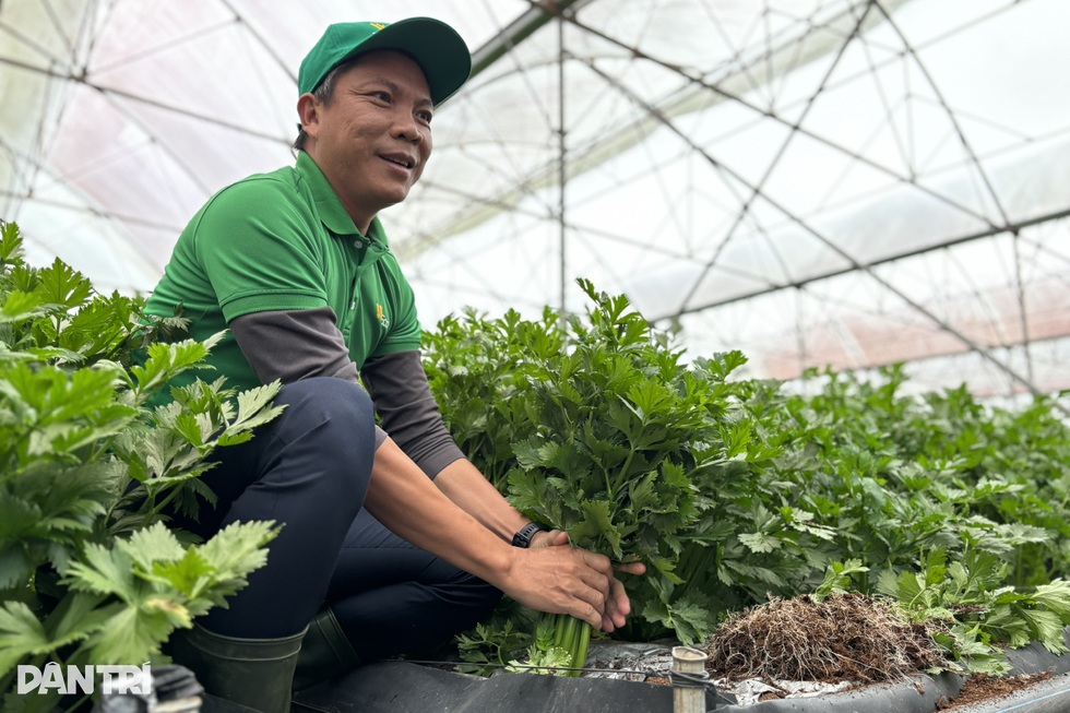 Thêm 40 người cho địa bàn lớn gấp 3, Giám đốc Sở ở TPHCM nói “điều sợ nhất” - 4 Thêm 40 người cho địa bàn lớn gấp 3, Giám đốc Sở ở TPHCM nói “điều sợ nhất” - 4