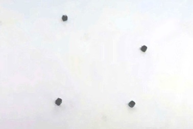 Bé trai nuốt 4 cục nam châm gây thủng ruột