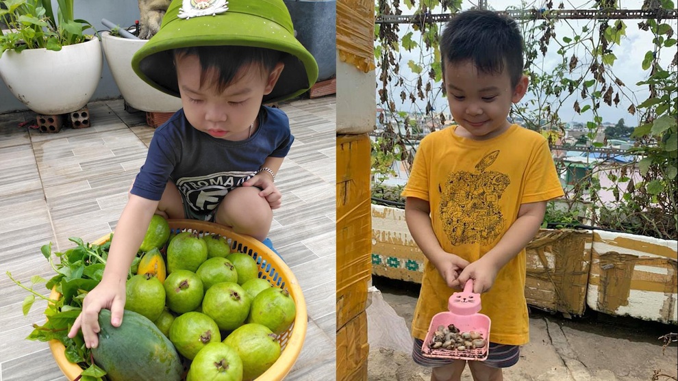 Khu vườn rau trái sum suê trên sân thượng, nhà phố tại TPHCM - 11 Khu vườn rau trái sum suê trên sân thượng, nhà phố tại TPHCM - 11
