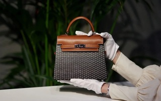 Túi Hermès bà Trương Mỹ Lan xin lại và những thiết kế đắt đỏ nhất thế giới - 10