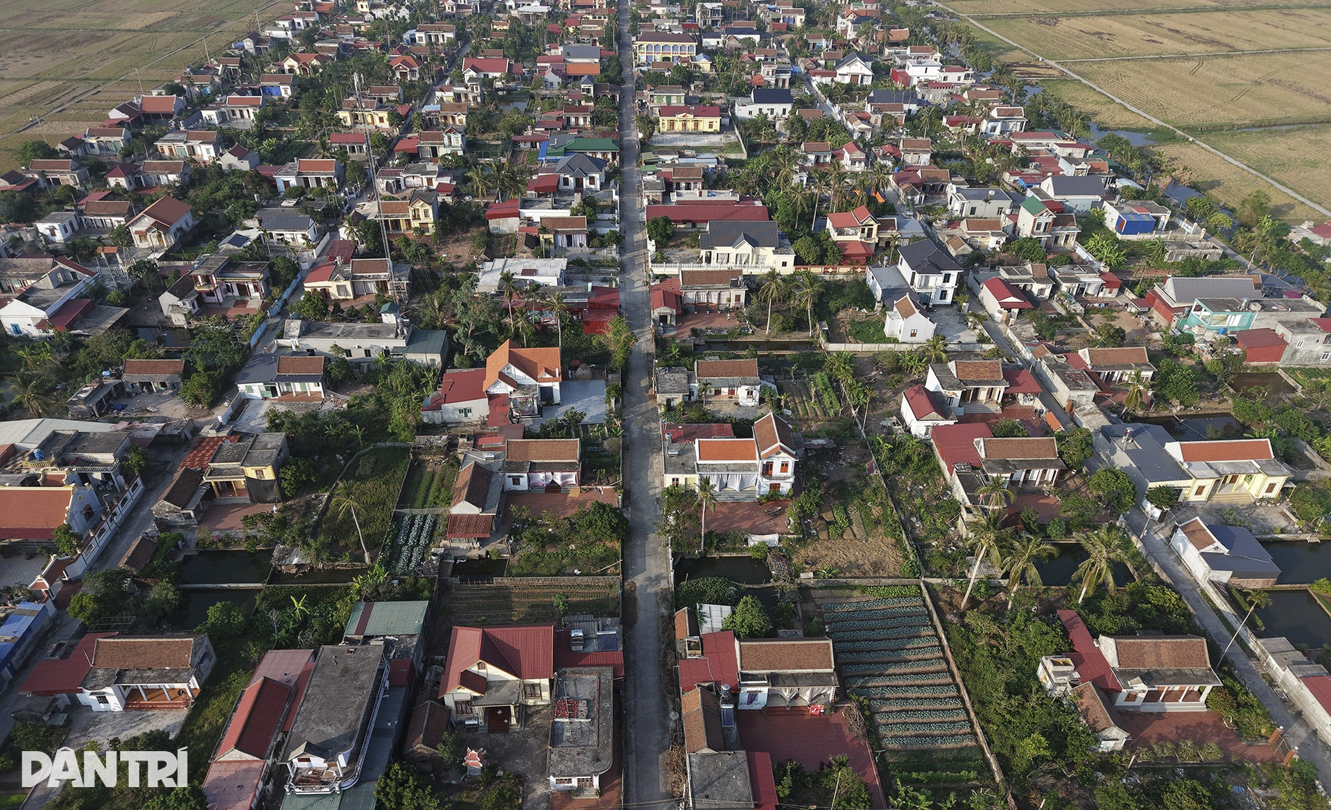 Những ngôi làng quy hoạch đẹp như bàn cờ ven biển Hải Phòng và Thái Bình - 3 Những ngôi làng quy hoạch đẹp như bàn cờ ven biển Hải Phòng và Thái Bình - 3