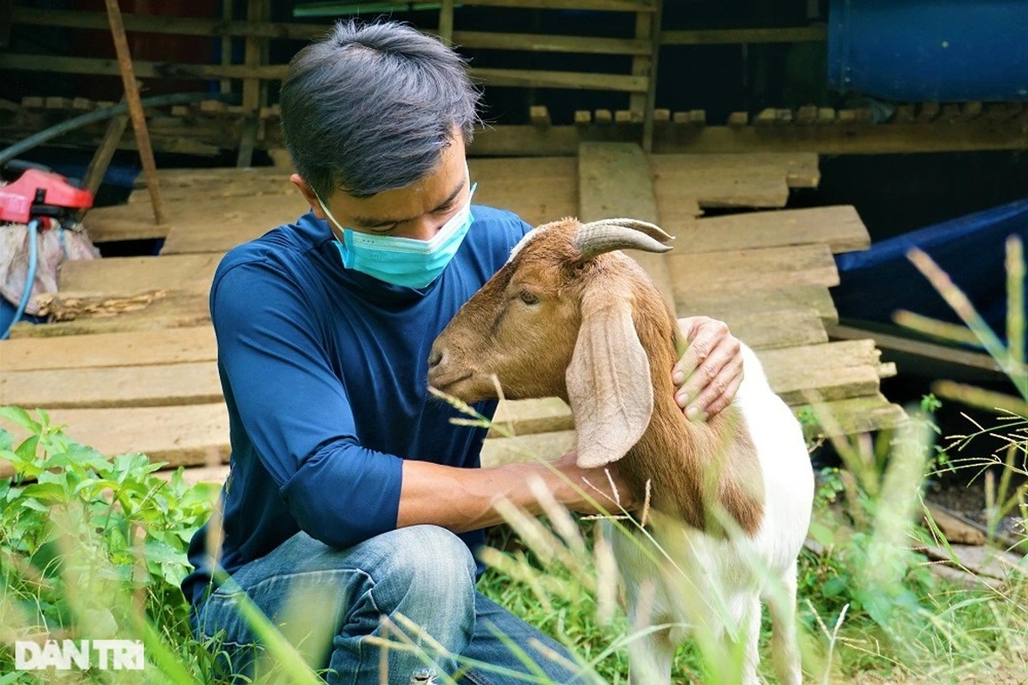 Bỏ việc lương 30 triệu đồng mỗi tháng, kỹ sư về quê nuôi dê, làm giàu - 1 Bỏ việc lương 30 triệu đồng mỗi tháng, kỹ sư về quê nuôi dê, làm giàu - 1
