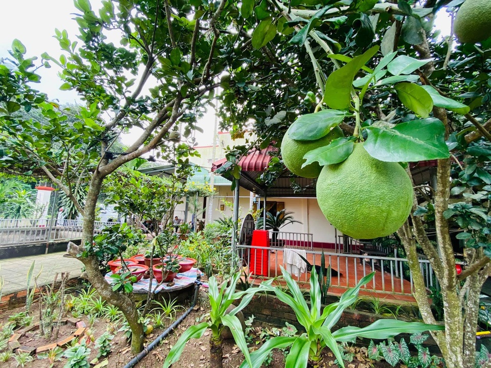 Vợ chồng 8X lên kế hoạch về hưu sớm, làm nhà vườn rộng 6000m2 ở Vũng Tàu - 4 Vợ chồng 8X lên kế hoạch về hưu sớm, làm nhà vườn rộng 6000m2 ở Vũng Tàu - 4