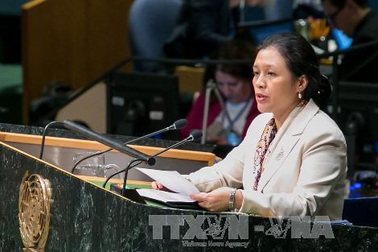 Việt Nam cam kết thực hiện nghiêm chỉnh Hiệp ước NPT