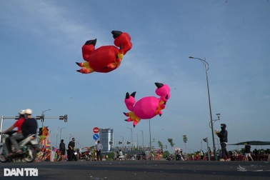 Cánh đồng diều lớn nhất Sài Gòn nhộp nhịp vào mùa