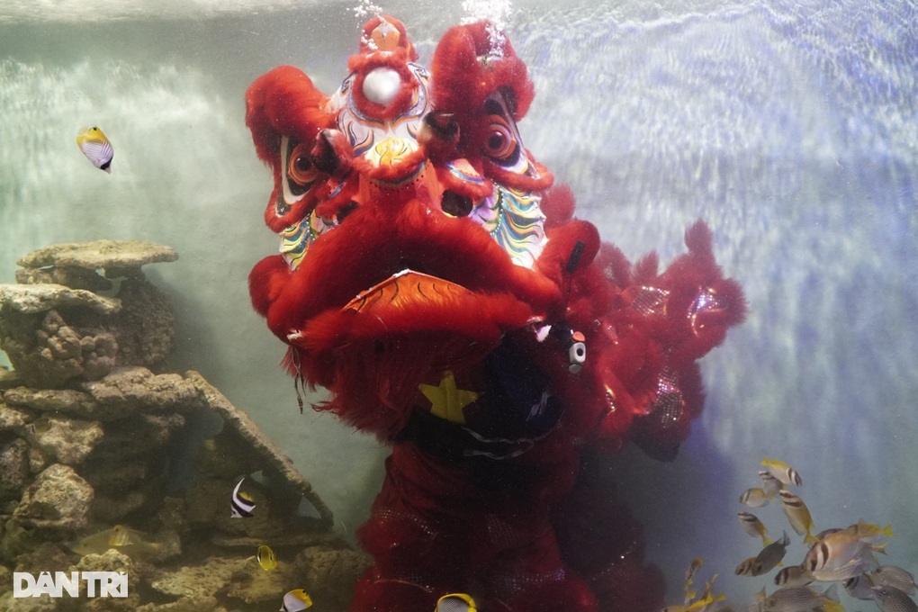 Độc đáo múa lân dưới nước ở Nha Trang - 3