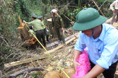 Đoàn kiểm tra đặc biệt vào điểm “nóng” phá rừng (video)