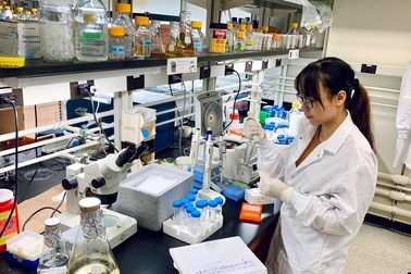 Tại sao nghiên cứu sinh Tiến sĩ thường xuyên gặp vấn đề về sức khỏe tâm lý?