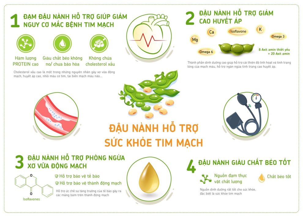 Bảo vệ sức khỏe tim mạch với 3 bí quyết dinh dưỡng từ chuyên gia - 3 Bảo vệ sức khỏe tim mạch với 3 bí quyết dinh dưỡng từ chuyên gia - 3