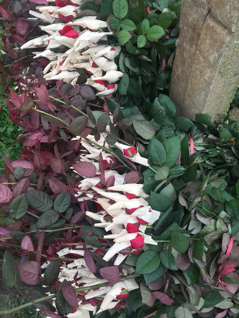 Một lời rao bán hết 700 bánh mỳ, 5.000 bông hồng, yên tâm nghỉ chống dịch - 3