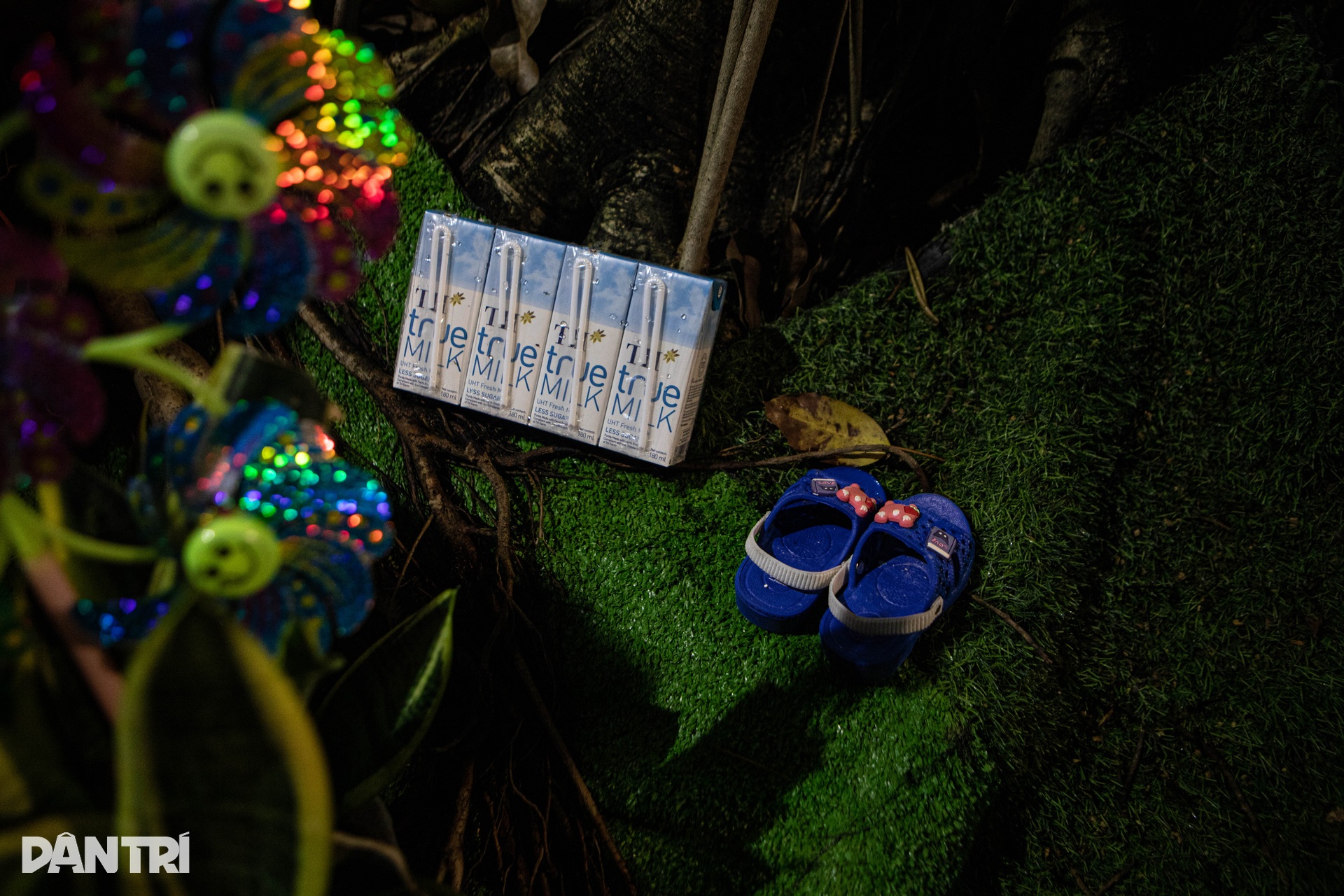 Thánh lễ an táng hàng trăm thai nhi xấu số ở Đồng Nai - 13 Thánh lễ an táng hàng trăm thai nhi xấu số ở Đồng Nai - 13