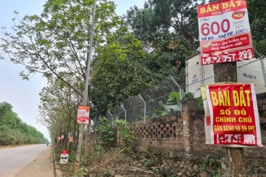 Thị trường nhà đất trầm lắng, người mua dễ mắc bẫy rao bán cắt lỗ