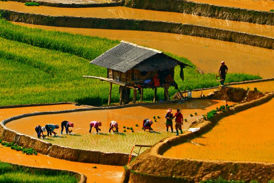 Ngắm ruộng bậc thang Mù Cang Chải đẹp lung linh mùa đổ nước - 6 Ngắm ruộng bậc thang Mù Cang Chải đẹp lung linh mùa đổ nước - 6