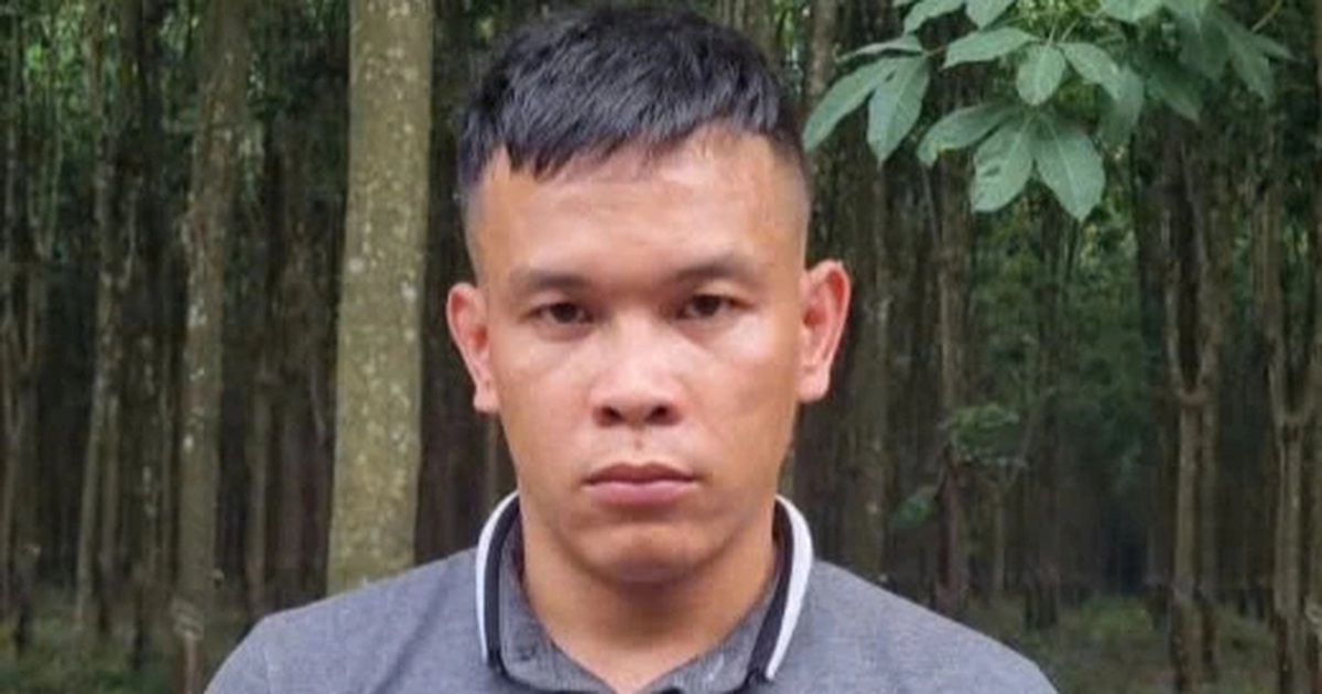 dantri.com.vn