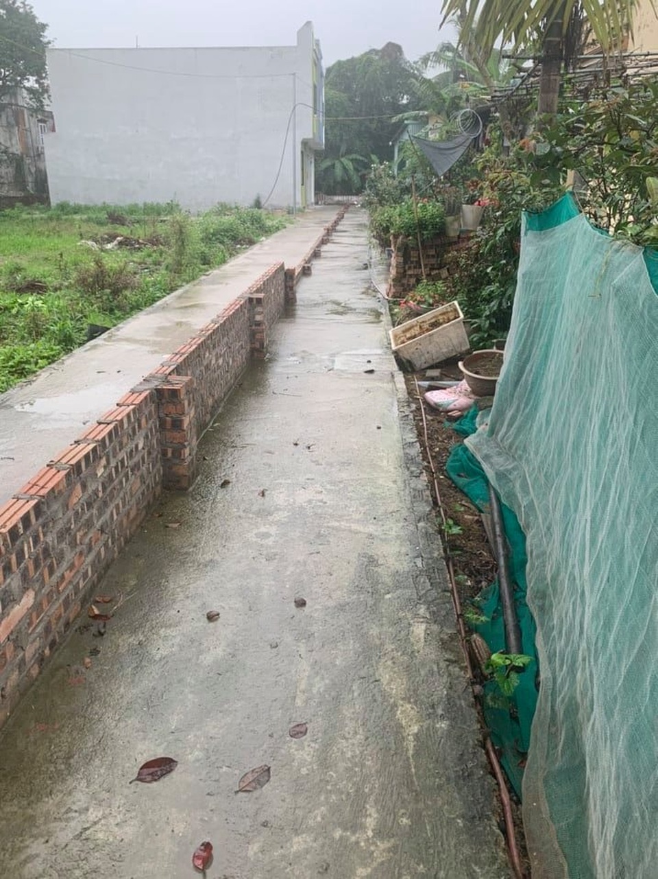 Thực hư thông tin dân Hải Phòng xây tường ngăn đôi đường vì sốt đất - 1 Thực hư thông tin dân Hải Phòng xây tường ngăn đôi đường vì sốt đất - 1