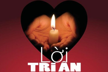 Trưng bày hiện vật của Nhà tù Hỏa Lò tại Côn Đảo