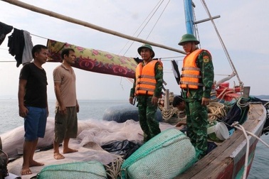 Quảng Ninh, Hải Phòng ứng phó với bão Talim