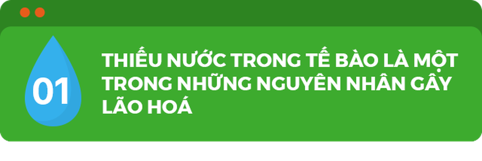 “Nước sống” hydrogen ion kiềm chăm sóc da hiệu quả, được bác sĩ khuyên dùng - 1 “Nước sống” hydrogen ion kiềm chăm sóc da hiệu quả, được bác sĩ khuyên dùng - 1