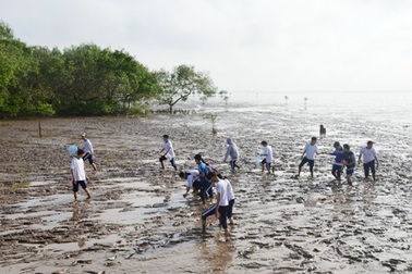 Hấp dẫn vẻ hoang sơ của biển Mỏ Ó và Hồ Bể