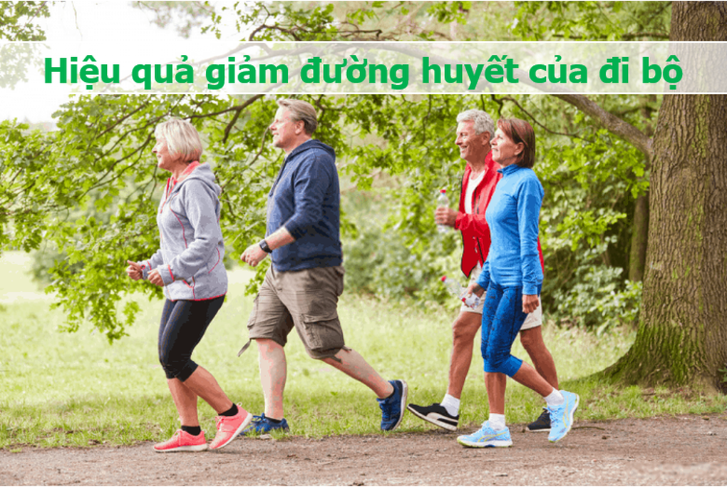 Đi bộ theo cách này, đường trong máu sẽ được dọn dẹp hiệu quả - 1 Đi bộ theo cách này, đường trong máu sẽ được dọn dẹp hiệu quả - 1