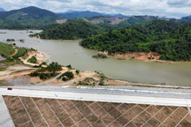 Đắk Lắk lý giải tách 2 hồ sơ chuyển mục đích sử dụng rừng ở dự án nghìn tỷ