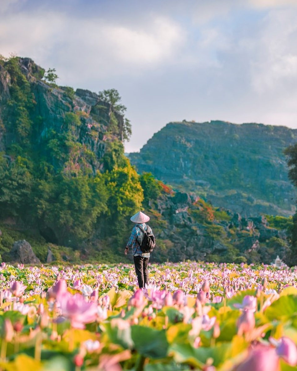 Đầm sen kỳ lạ nở tới tận mùa Đông dưới chân núi Ngọa Long - 3 Đầm sen kỳ lạ nở tới tận mùa Đông dưới chân núi Ngọa Long - 3