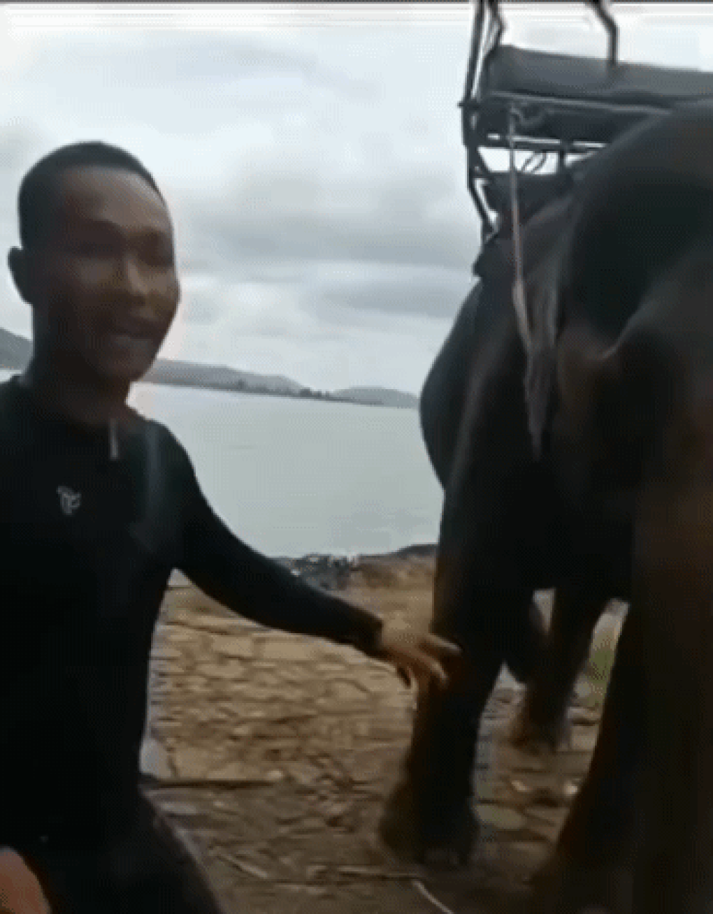 Du khách bị voi quật văng xuống đất vì tự ý chạm vào vòi của con voi - 2 Du khách bị voi quật văng xuống đất vì tự ý chạm vào vòi của con voi - 2