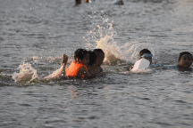 Trời nắng nóng hồ Linh Đàm ở Hà Nội biến thành "bãi biển" tự phát