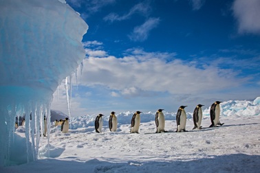 Vì sao Nam Cực lạnh hơn Bắc Cực?