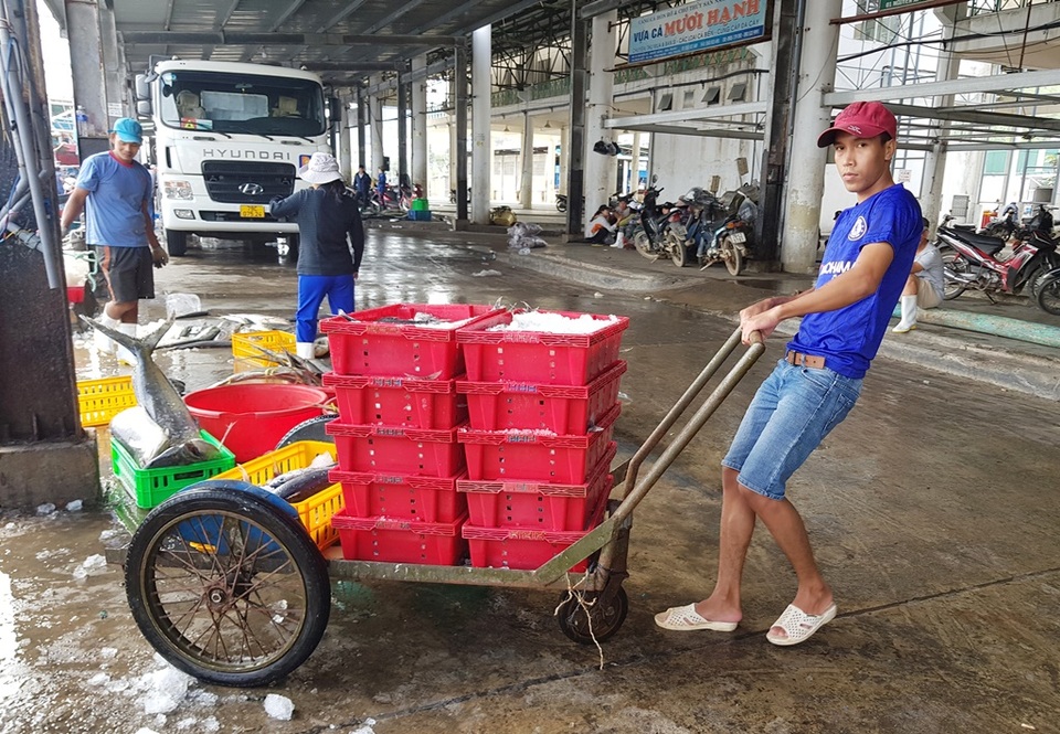 Trúng vụ cá, ngư dân có thêm nhu nhập đón Tết - 5 Trúng vụ cá, ngư dân có thêm nhu nhập đón Tết - 5