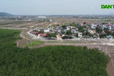 "Bức tường xanh khổng lồ" che chắn người dân làng biển