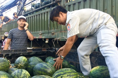 Người Đà Nẵng “giải cứu” dưa hấu cho nông dân Kon Tum