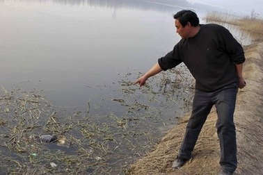 Hủ tục đằng sau vụ vứt 21 xác trẻ sơ sinh trên sông