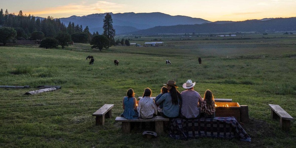 Gia đình doanh nhân thành đạt về quê, lên mạng học làm nông dân - 10