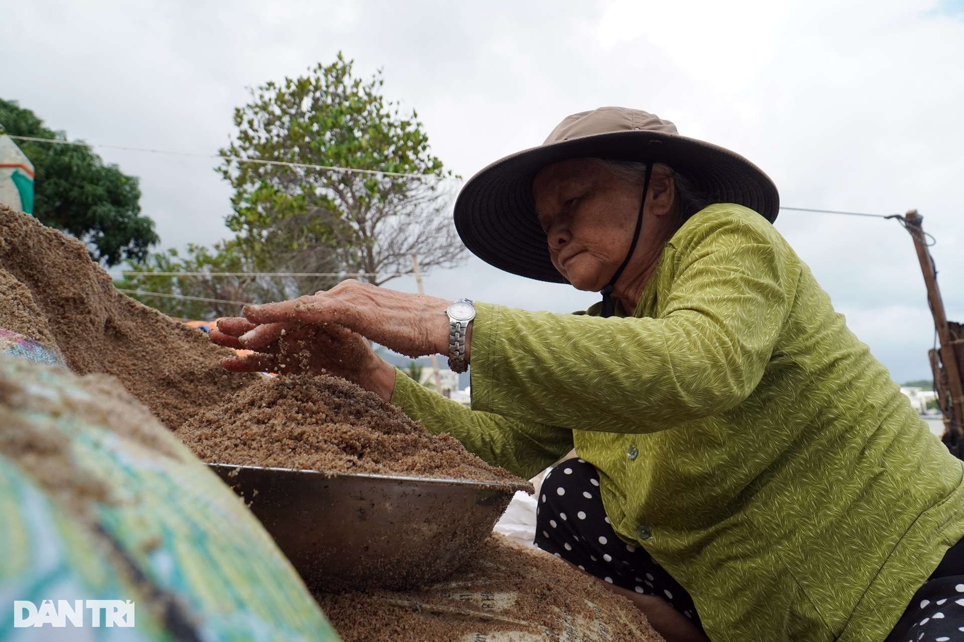 Người dân bên cồn khổ sở vì mỗi năm hàng chục triệu đồng đổ xuống sông - 6 Người dân bên cồn khổ sở vì mỗi năm hàng chục triệu đồng đổ xuống sông - 6
