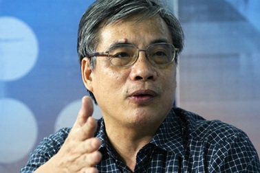 Bức tranh kinh tế Việt Nam đã thực sự "tươi hồng"?