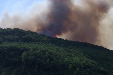 Đang cháy rừng dữ dội tại huyện Tĩnh Gia