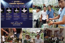 Trái đắng Phi điệp đột biến: Trăm tỷ chảy về Trung Quốc?