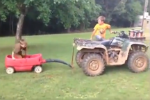 Thử thách không cười: Những pha hài hước khó đỡ của bé