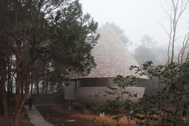 Nhà nấm giữa rừng thông thay đổi màu sắc theo độ ẩm tự nhiên