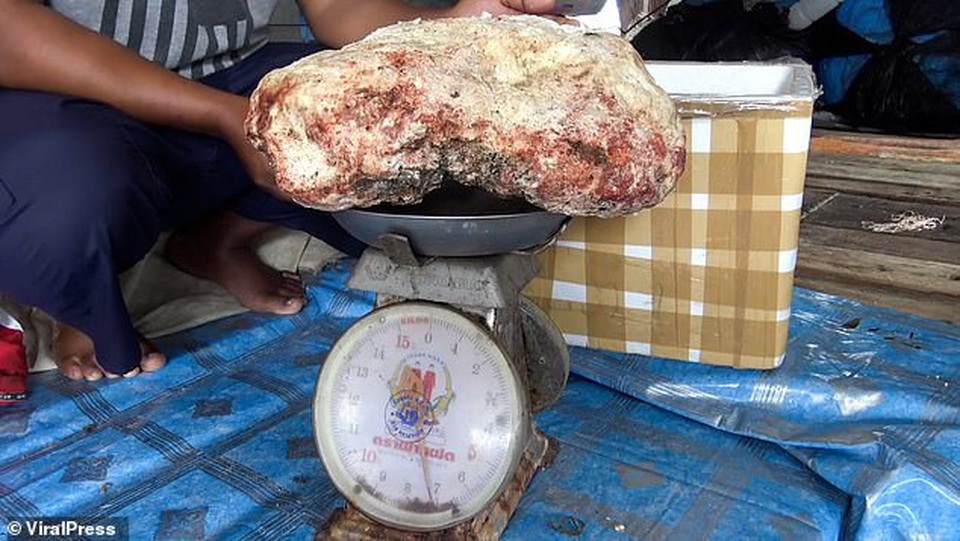 Vô tình nhặt được hòn đá lạ, nặng 7 kg, ngư dân trẻ vớ bẫm được cả kho báu tiền tỷ - 3 Vô tình nhặt được hòn đá lạ, nặng 7 kg, ngư dân trẻ vớ bẫm được cả kho báu tiền tỷ - 3