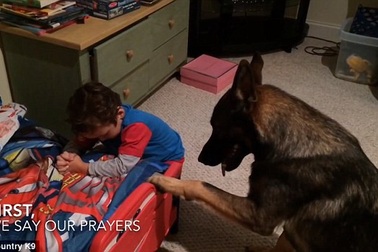 Người bạn bốn chân em bé nào cũng ao ước