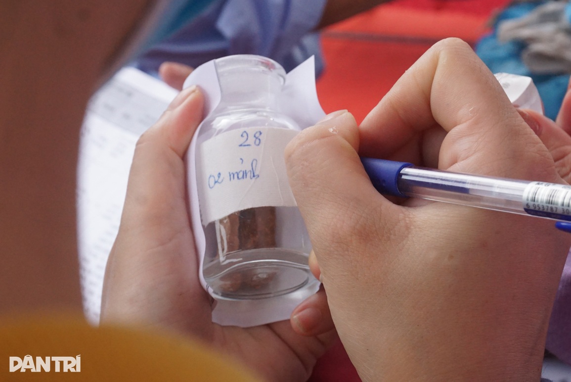 Lấy mẫu xét nghiệm ADN tìm danh tính 103 liệt sĩ quy tập từ Lào - 5