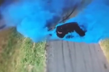 Cháy xe ở Australia trong tiệc tiết lộ giới tính thai nhi