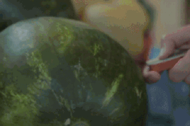 Thiết bị cầm tay giúp “giải mã” chất lượng thực phẩm trong nháy mắt