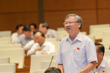 Nhận kỷ luật, cựu Trưởng Ban Nội chính Đồng Nai thôi làm đại biểu Quốc hội