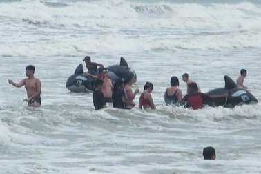 Xảy ra thiệt hại về người trong bão, người đứng đầu địa phương phải chịu trách nhiệm