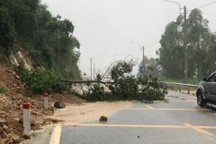 Xuất hiện nhiều điểm sạt lở trên đèo An Khê