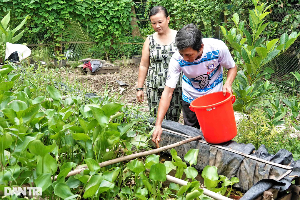 8X chế máy ấp trứng lươn giá 3 tô phở, cứ 5 ngày lại thu tiền triệu - 2 8X chế máy ấp trứng lươn giá 3 tô phở, cứ 5 ngày lại thu tiền triệu - 2